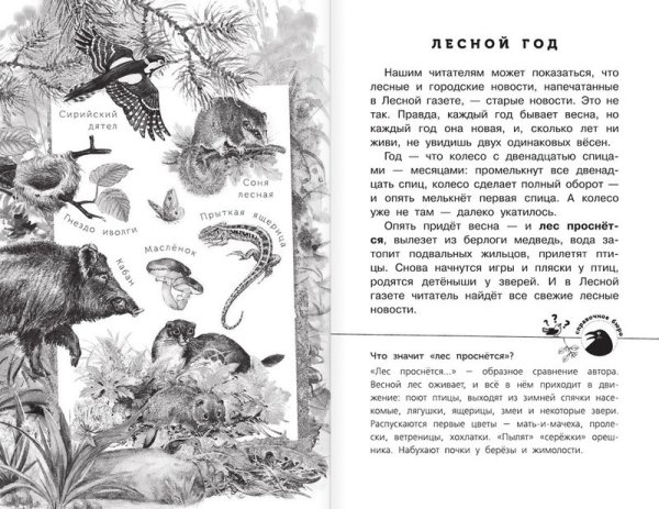 Иллюстрация к рассказу Лесная газета