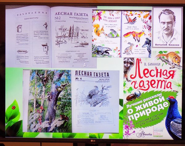 Лесная газета иллюстрации