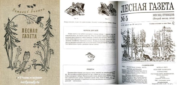 Лесная газета обложка книги