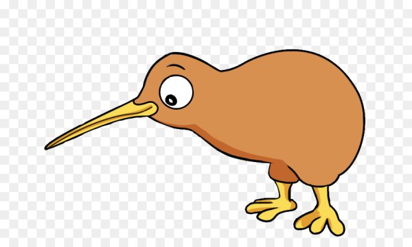 Птичка киви мультик