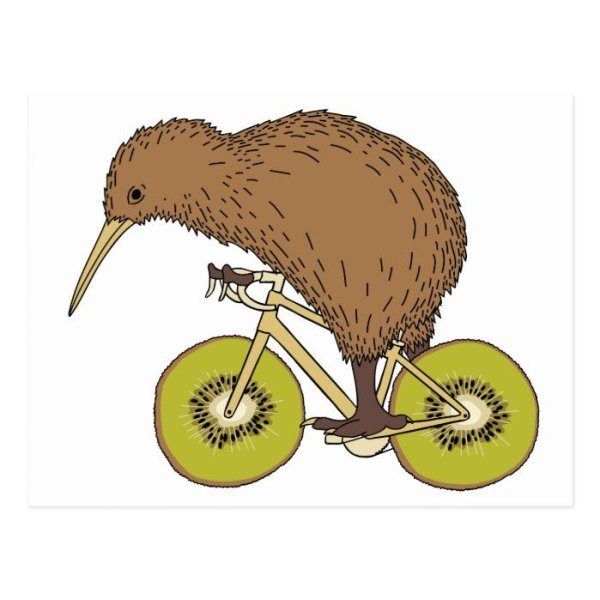 Киви птица арт