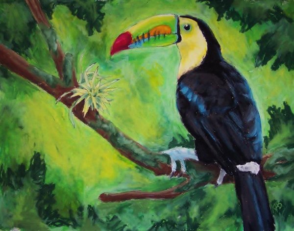 Картина Тукан на ветке