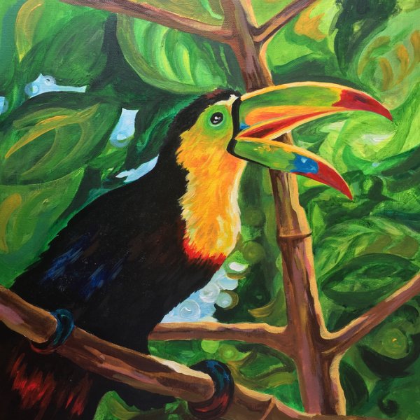 Тукан арт акрил