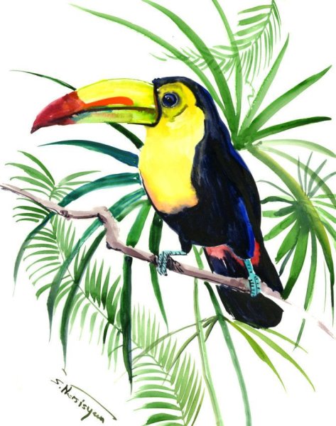 Экзотические птицы