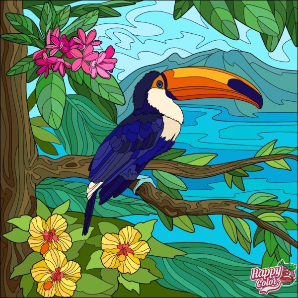 Тукан иллюстрация