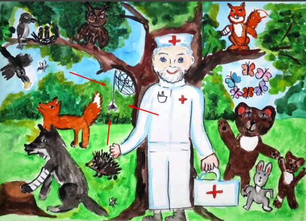 Чуковский Айболит рисунок для детей