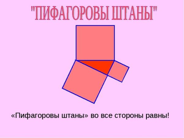 Теорема Пифагоровы штаны