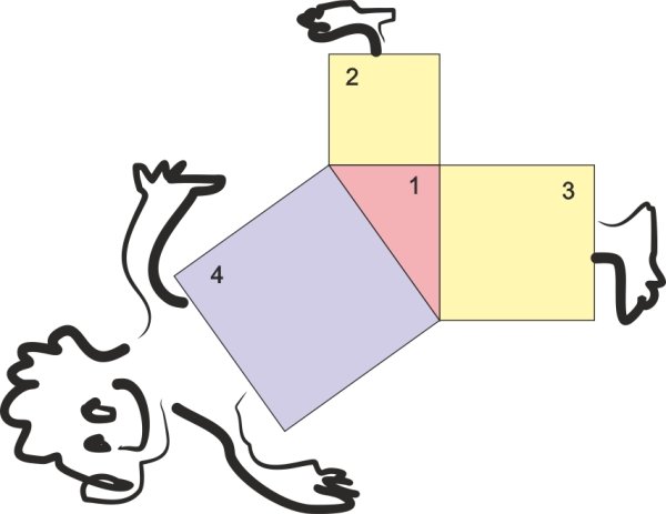 Пифагоровы штаны