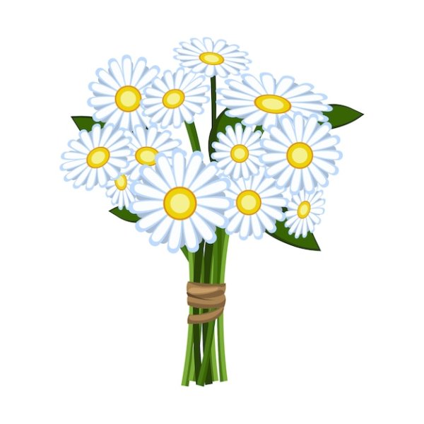 Ромашки маслом на холсте