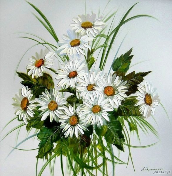 Букет ромашек карандашом