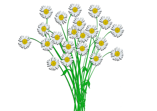 Ромашка рисунок