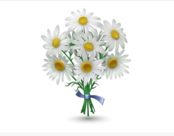 Цветы рисунок