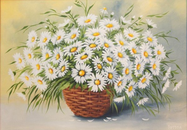 Букет полевых цветов раскраска