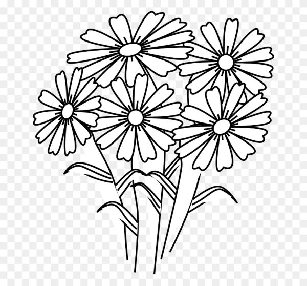 Ромашка раскраска