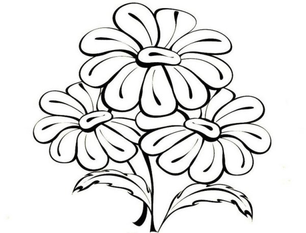 Ромашки узор