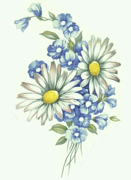 Нарисовать букет