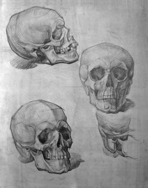 Академический рисунок черепа Академия художеств