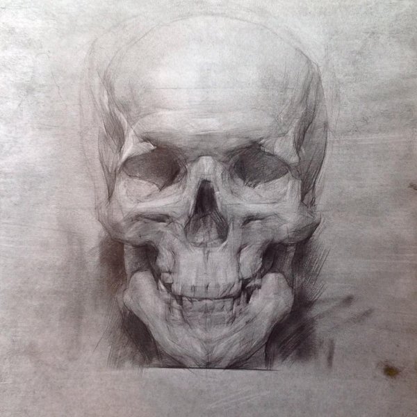 Череп Академия художеств Репина