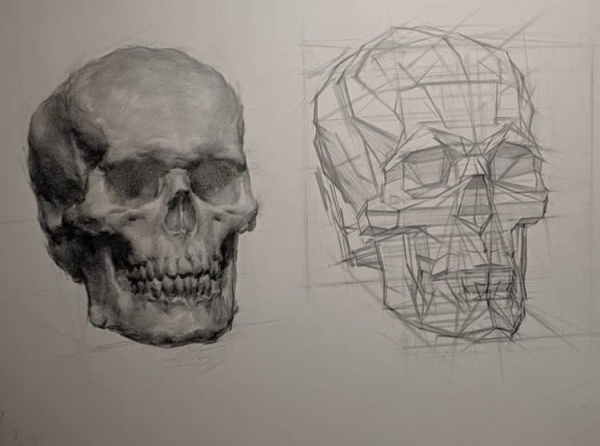 Череп анфас Академический