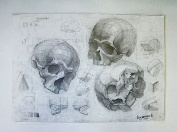 Академический рисунок черепа Академия художеств