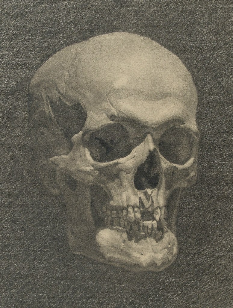 Череп Академия художеств Репина