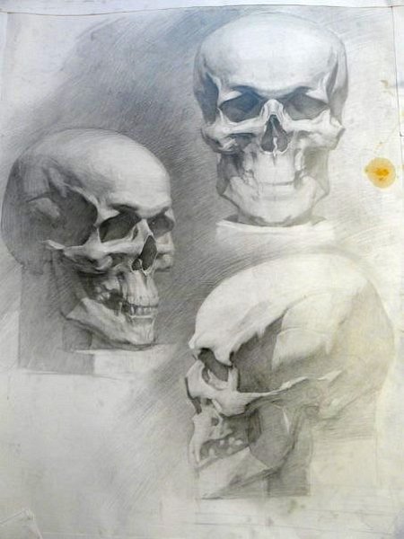Академический рисунок Академия Репина череп