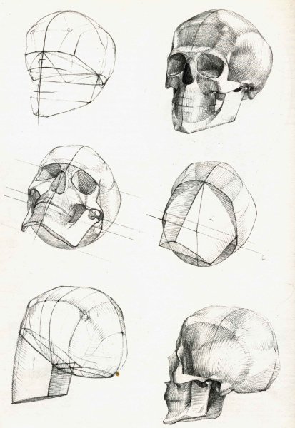 Баммес Готфрид голова человека