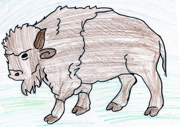 ЗУБР раскраска