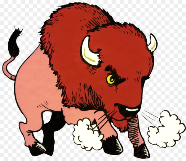 Бизон (Bison Bison)