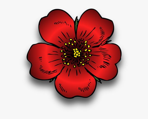 Нарисовать цветы