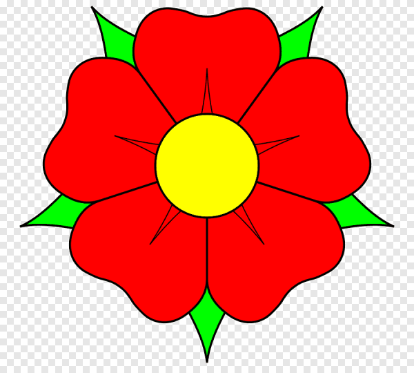 Нарисовать цветы