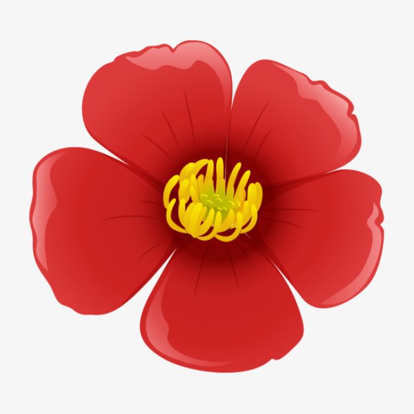 Красный цветок для детей