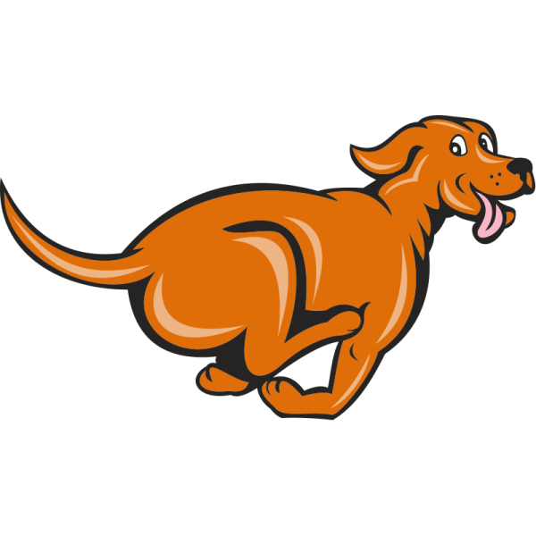 Собака бежит