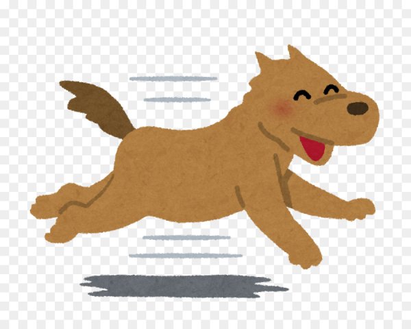 Собака бежит