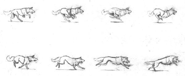 Бег волка Раскадровка