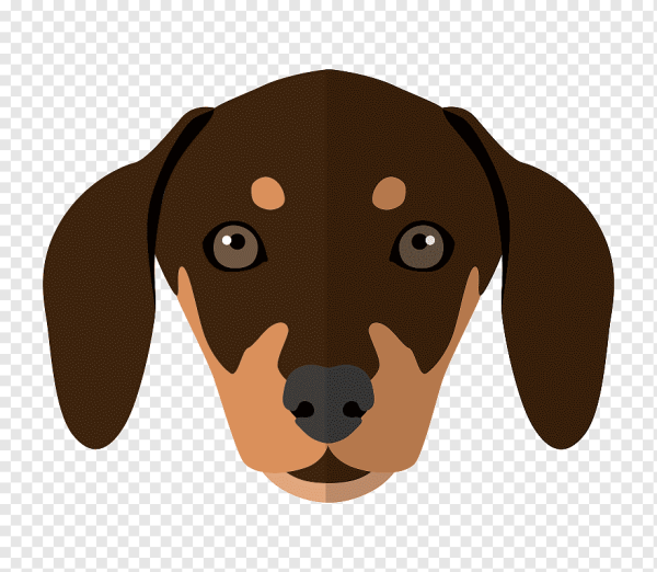 Голова собаки