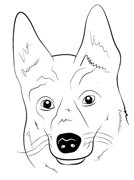 Нарисовать морду собаки