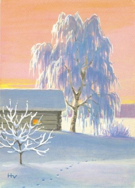 Береза зимой