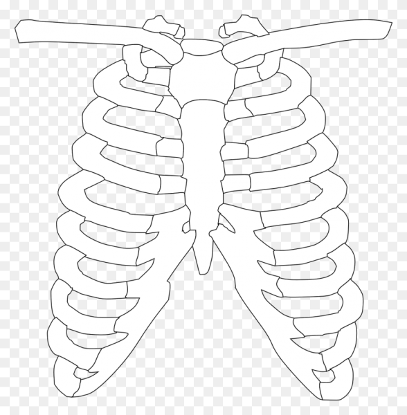 Кости для костюма Кощея
