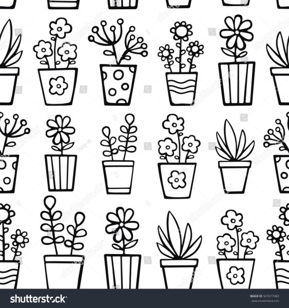 Задания комнатные растения в горшке