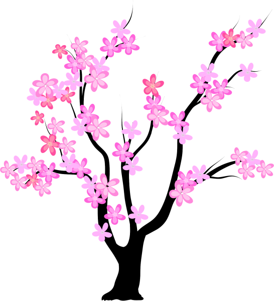 Весеннее дерево на прозрачном фоне