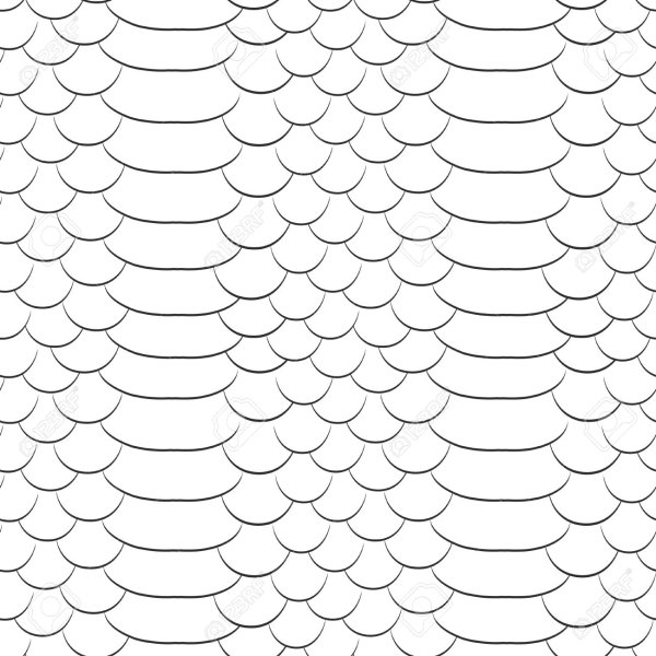 Чешуя на белом фоне