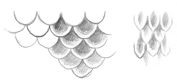 Чешуя эскиз