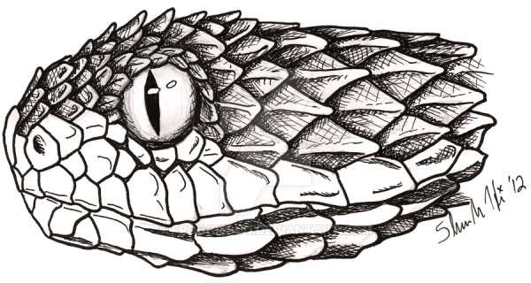 Чешуя эскиз