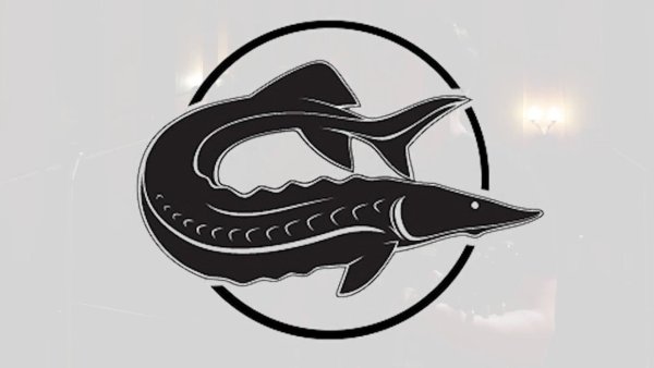 Севрюга вектор