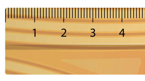Линейка рисунок для детей