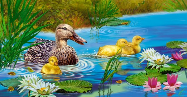 Пришвин утята