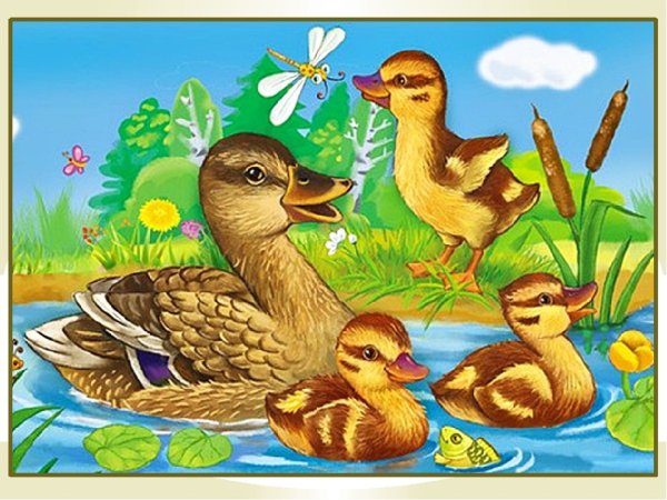 Утенок раскраска