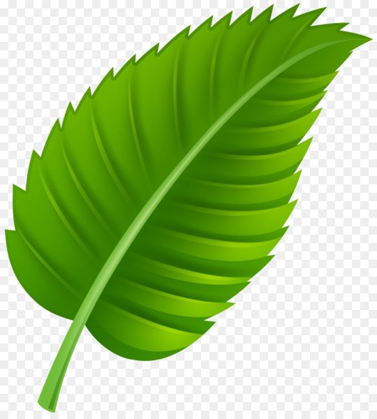 Векторные листья