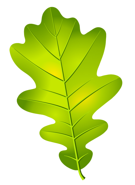 Дубовый лист